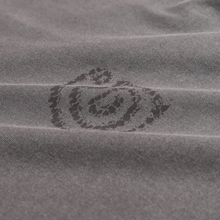Carhartt WIP L/S Terrestrial T-Shirt