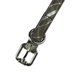 Dime Bestfriend Collar