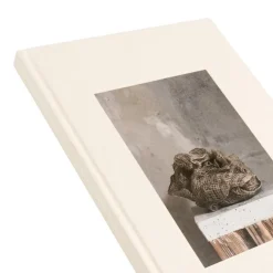 Frama Perception Form Book