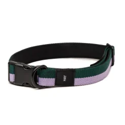 HAY Dogs Collar Flat M/L