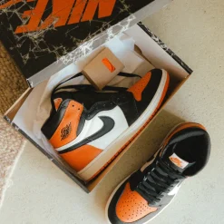 Nike Air Jordan 1 Retro High OG *Shattered Backboard*