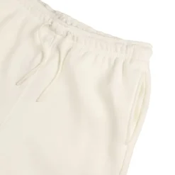 Nike Jordan Brooklyn Fleece Shorts