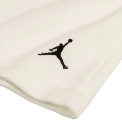 Nike Jordan Brooklyn Fleece Shorts