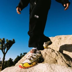 Salomon x Vandy the Pink Speedcross 3