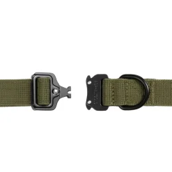 Trekk Dog Collar