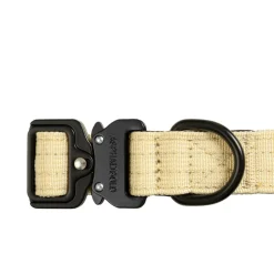 Trekk Dog Collar