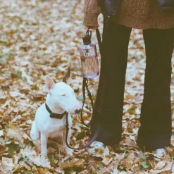 Trekk Dog Leash