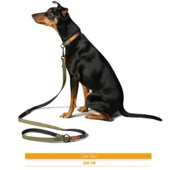 Trekk Dog Leash